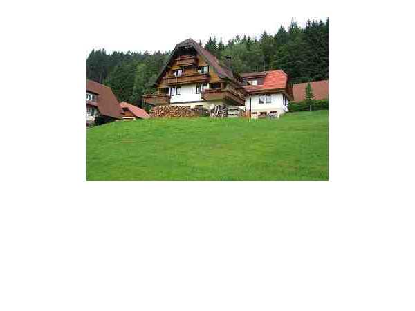 Ferienwohnung Ferienwohnungen Frey (DG), Mitteltal, Schwarzwald, Baden-Württemberg, Deutschland, Bild 1