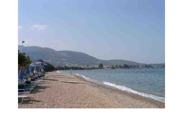 Ferienwohnung Gabi - Appartement 1, Achaia Epidavros, Argolis, Peloponnes, Griechenland, Bild 5