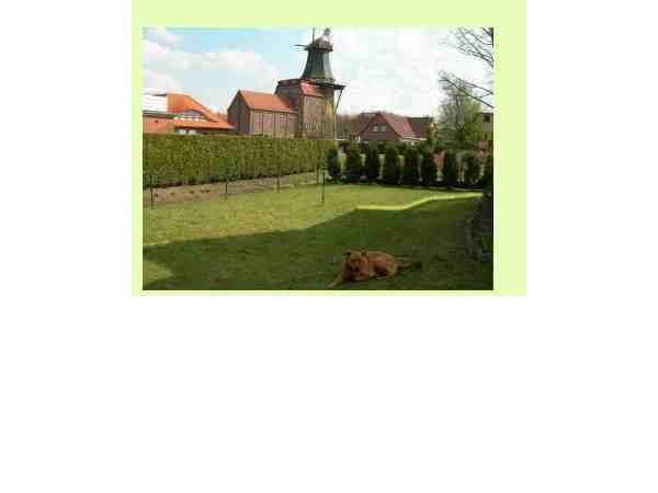 Ferienhaus Urlaub mit Hund Haus 6, Hage, Ostfriesland, Niedersachsen, Deutschland, Bild 1