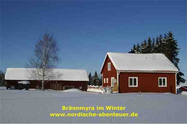 Ferienhaus Brännmyra - mit Kamin und Sauna, Pajala, Lappland, Nordschweden, Schweden, Bild 5