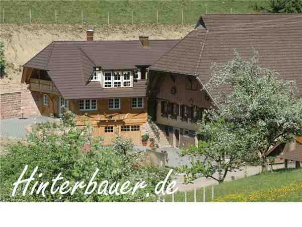 Ferienwohnung 'Hinterbauer Hof' im Ort Oberharmersbach